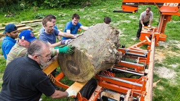 Revitalizing Urban Trees in London for a Second Life